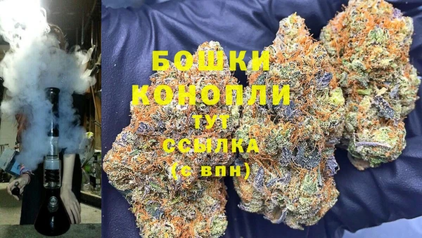 ПСИЛОЦИБИНОВЫЕ ГРИБЫ Арсеньев