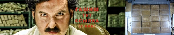 прущие грибы Баксан