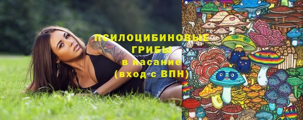 ПСИЛОЦИБИНОВЫЕ ГРИБЫ Балахна