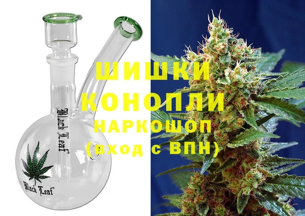 ПСИЛОЦИБИНОВЫЕ ГРИБЫ Арсеньев
